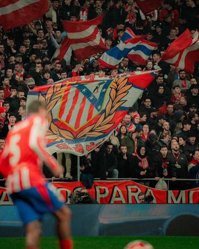 混团世界杯：日本8-3胜德国！张本智和遭败绩，张本美和等人赢球（混团世界杯日本8-3力克德国：张本智和告负，张本美和等人建功）