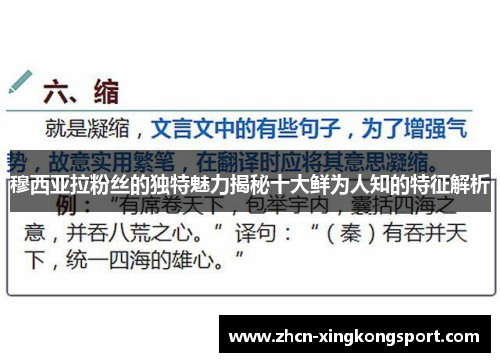 穆西亚拉粉丝的独特魅力揭秘十大鲜为人知的特征解析