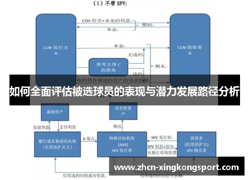 如何全面评估被选球员的表现与潜力发展路径分析