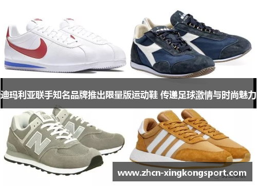 迪玛利亚联手知名品牌推出限量版运动鞋 传递足球激情与时尚魅力